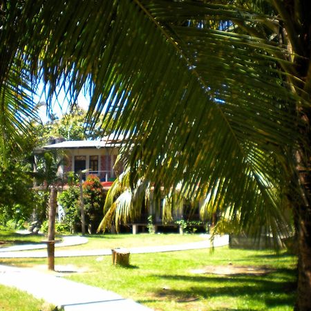 Auberge de jeunesse Chill Vibes Hiriketiya à Dikwella Extérieur photo