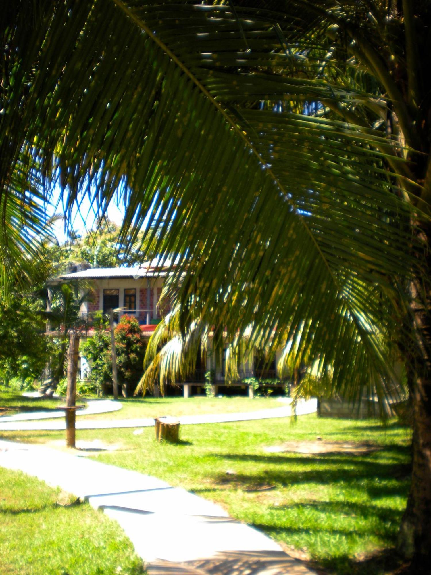 Auberge de jeunesse Chill Vibes Hiriketiya à Dikwella Extérieur photo
