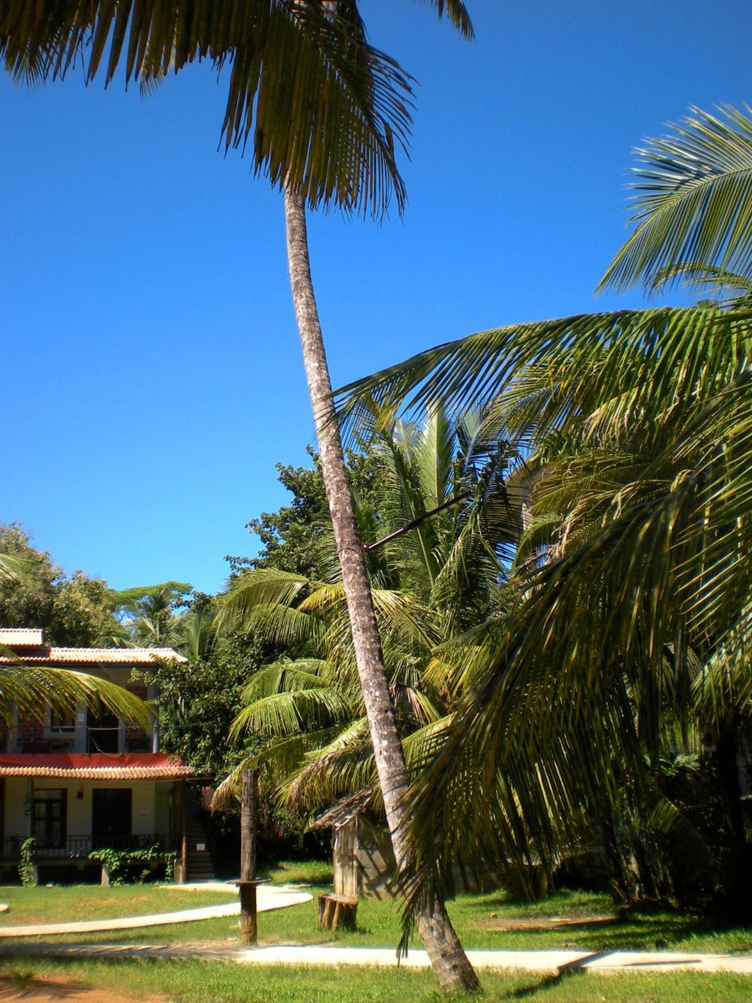 Auberge de jeunesse Chill Vibes Hiriketiya à Dikwella Extérieur photo